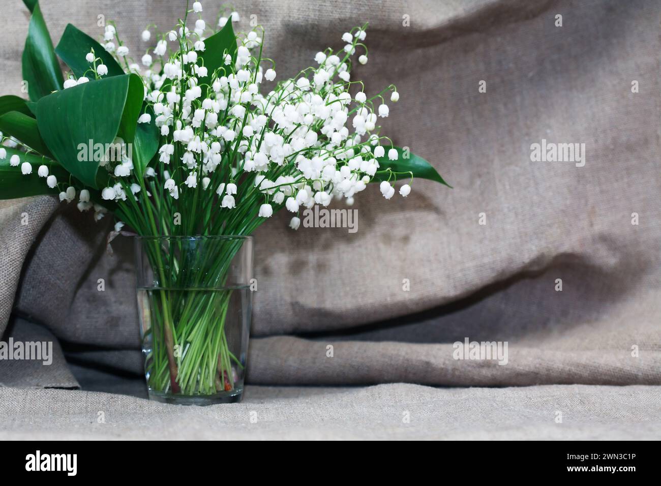 Lilies valley in vase hi-res stock photography and images - Alamy