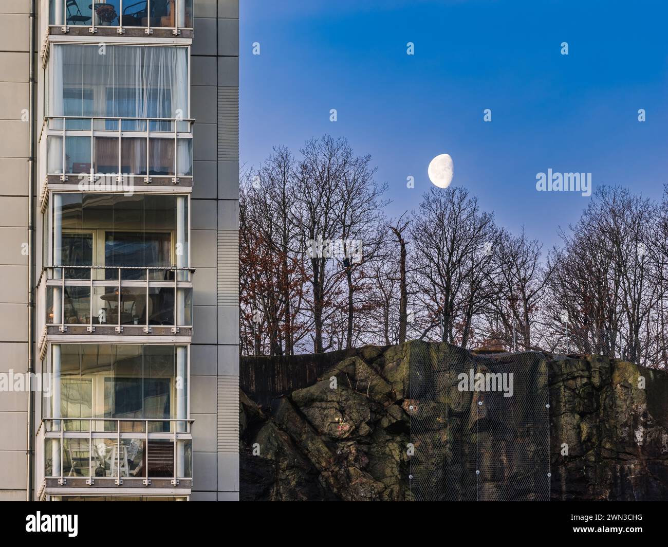 A tall building stands next to a  forest filled with abundant trees and moon. The juxtaposition of urban development and natural vegetation is strikin Stock Photo