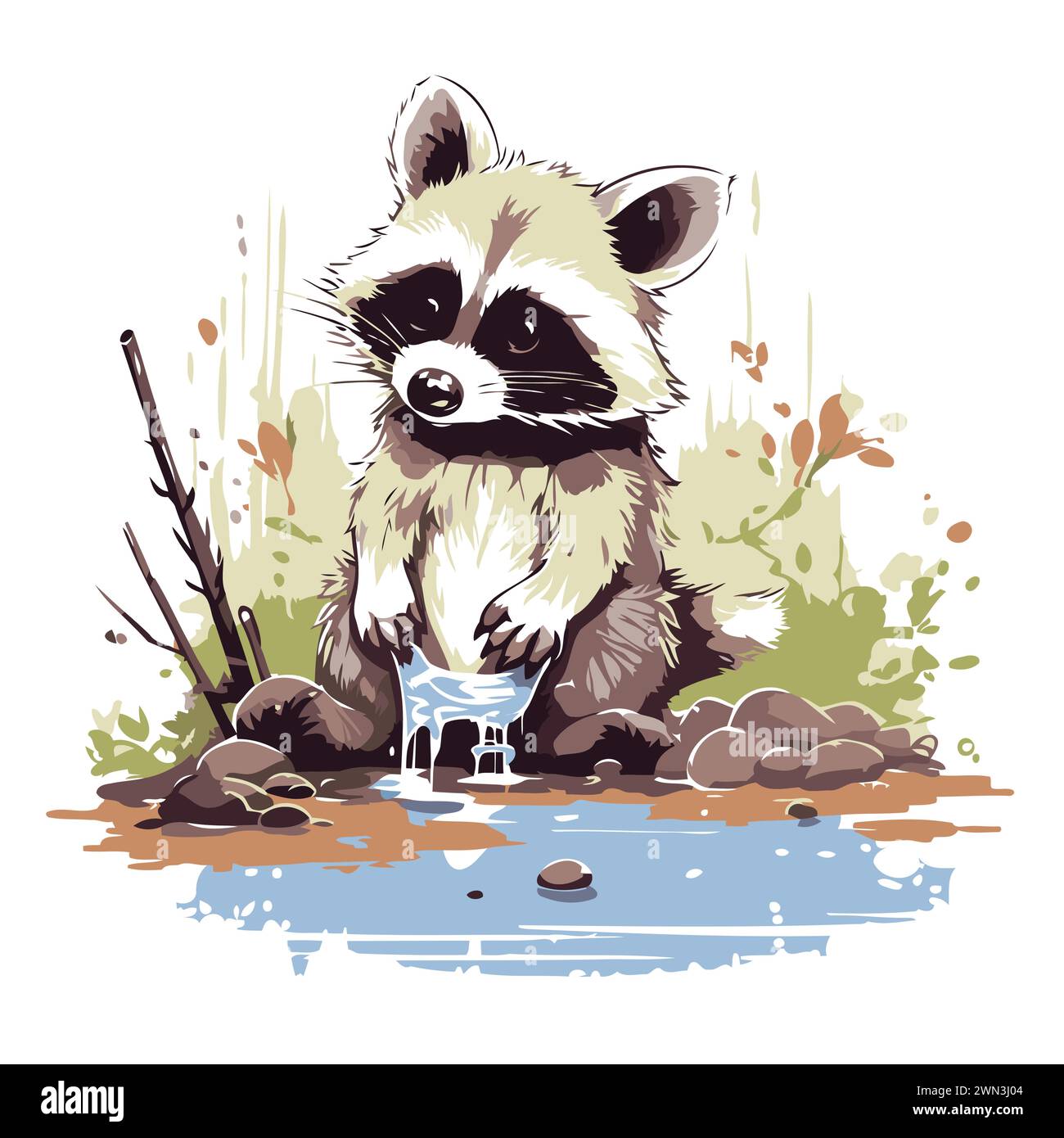 Drinking Racoon Line Drawing Drinking from puddle Stock Vector Images - Alamy