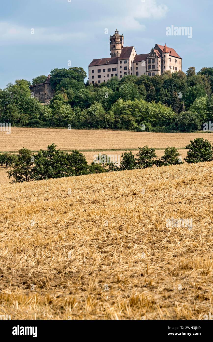 Ronneburg Castle, knight's castle from the Middle Ages, harvested grain fields, field, hill, forest, dry cultural landscape, Ronneburger Huegelland Stock Photo