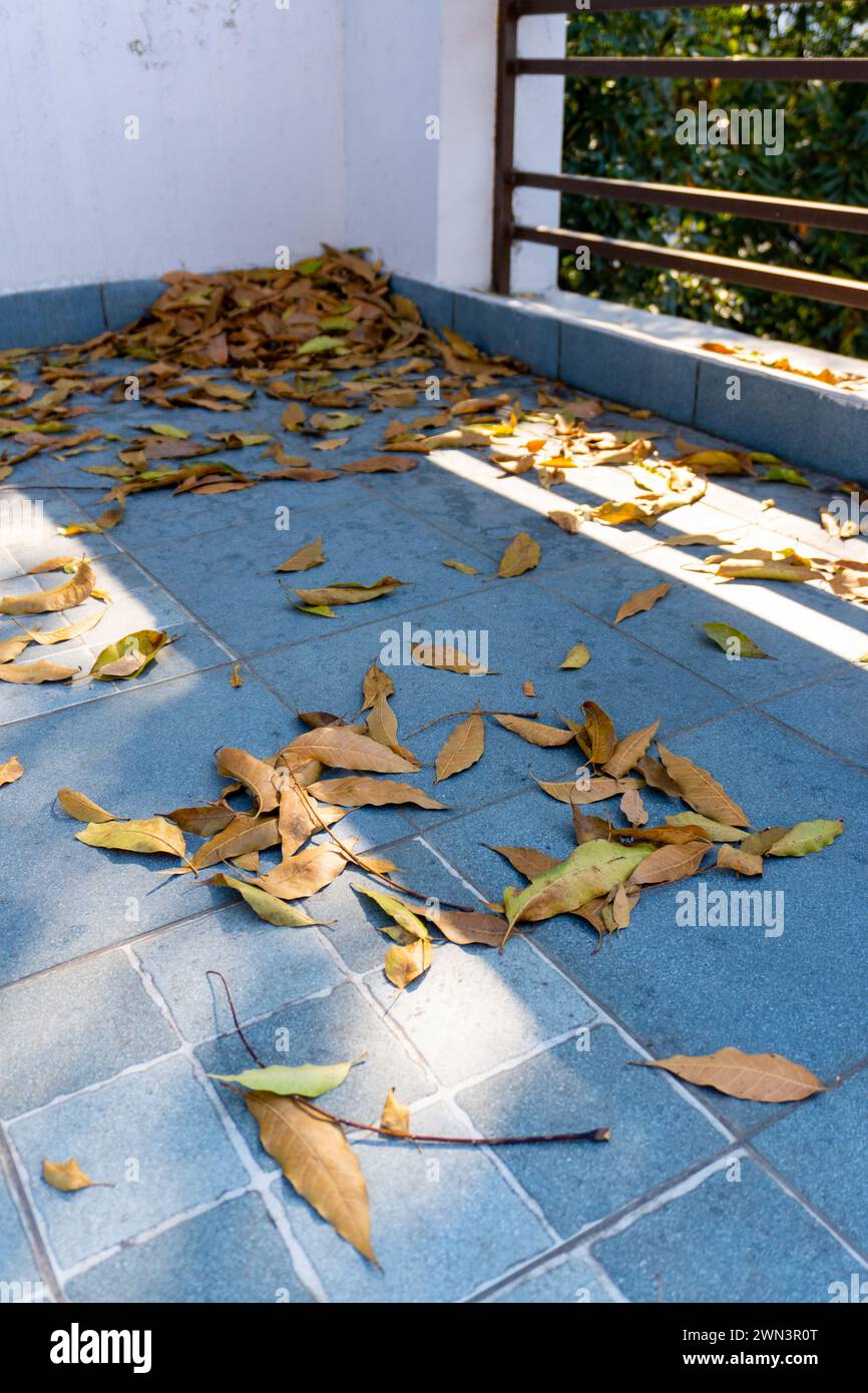Autumn Leaves on Indian House Roof: Change of Season in Uttarakhand, India Stock Photo