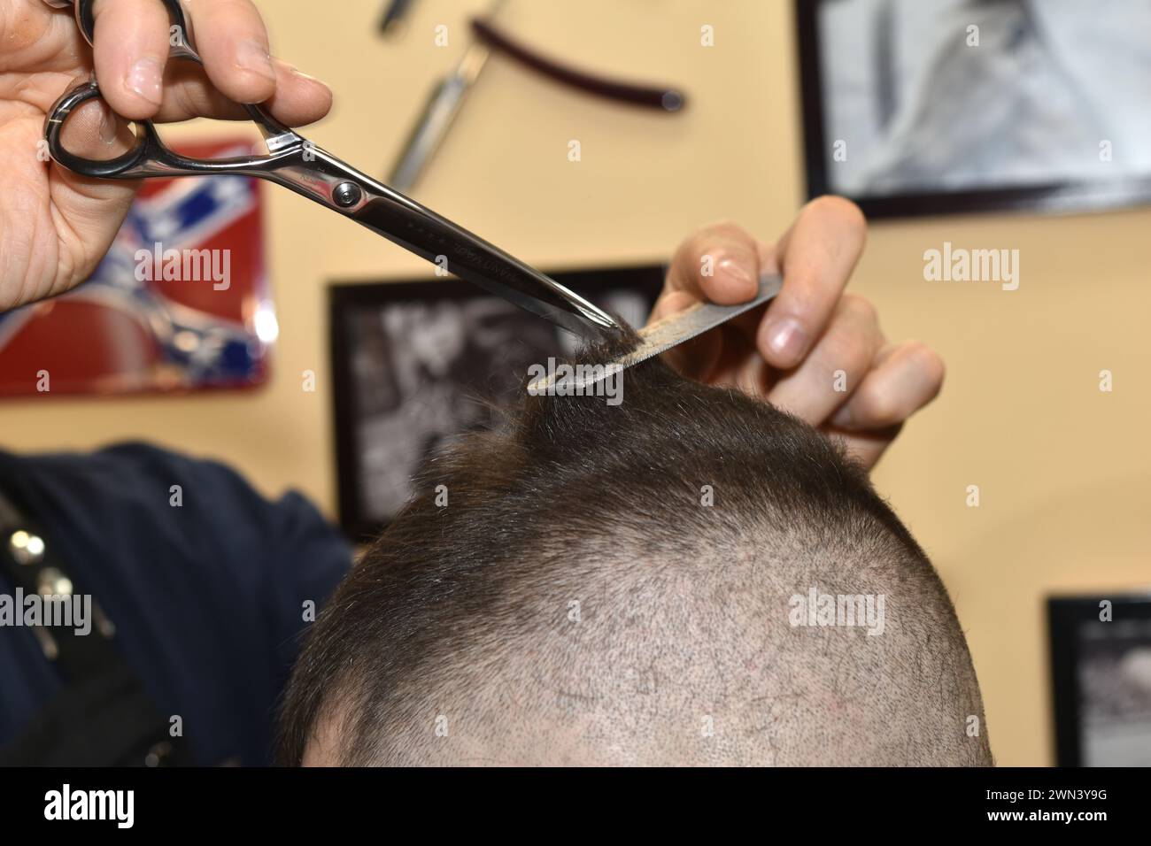 The hairdresser uses scissors, helping himself with a comb, to shorten the hair at the back of the client's head. Stock Photo