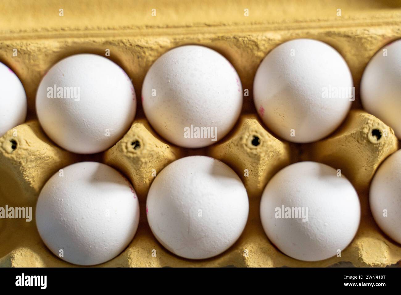 Augsburg, Bavaria, Germany - February 28, 2024: White eggs in an egg carton. Chicken eggs *** Weiße Eier in einem Eierkarton. Hühnereier Stock Photo