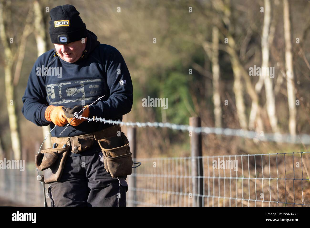 13/01/22   A fencing contractor wears JCB workwear clothing as he puts up a new fence on a frosty morning in the Churnet Valley, Staffordshire.  All R Stock Photo
