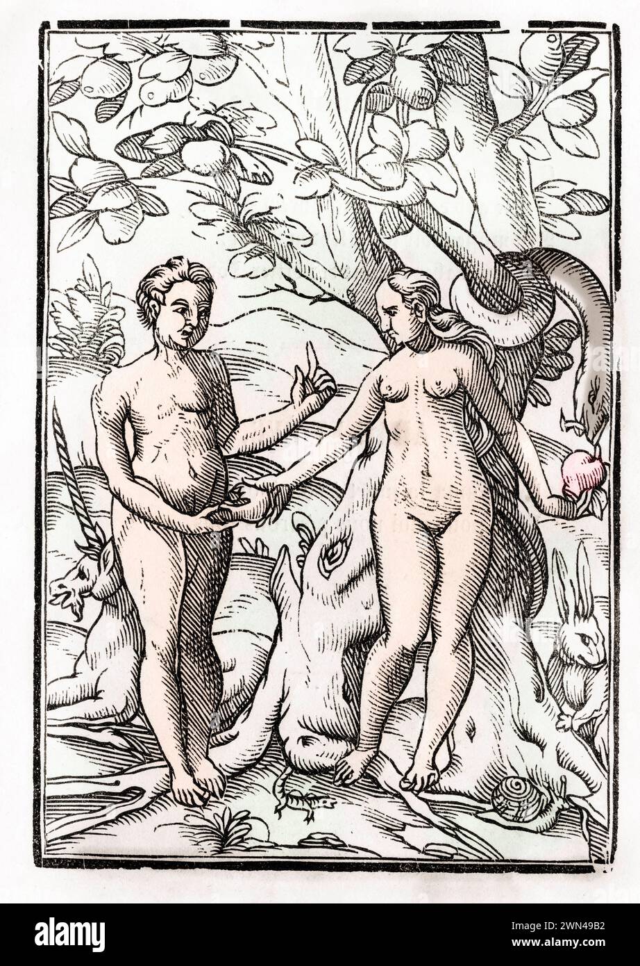 Adam und Eva im Garten Eden Aus Der Todten Tanz oder The Dance of Death erschienen in Basel 1843 / Adam and Eve in the Garden of Eden From Der Todten Stock Photo