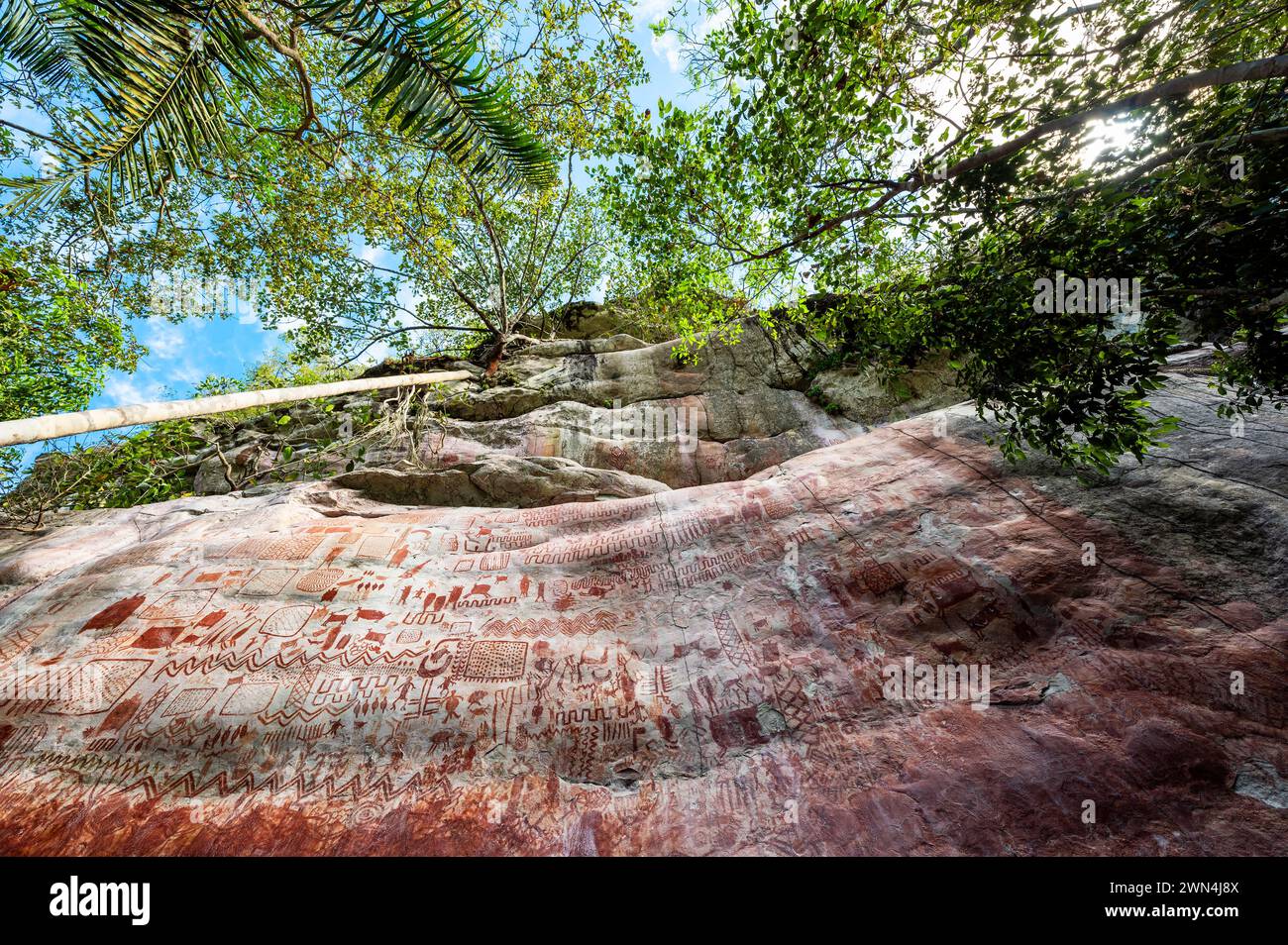 Ancient rock paintings in a dense jungle at Cerro Azul in Guaviare, Colombia Stock Photo