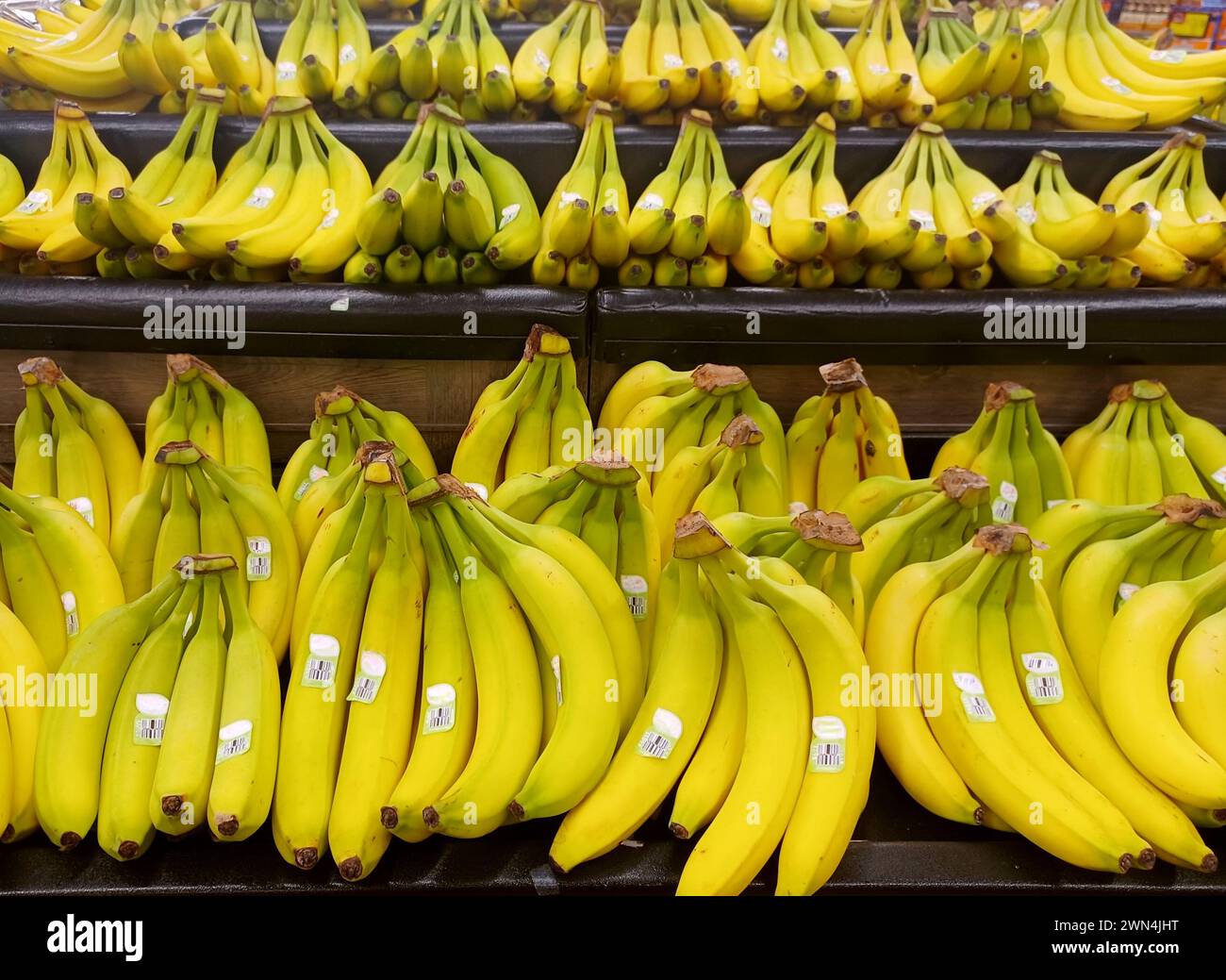 Banana bunches displayed on a supermarket shelf in the produce aisle. Stock Photo