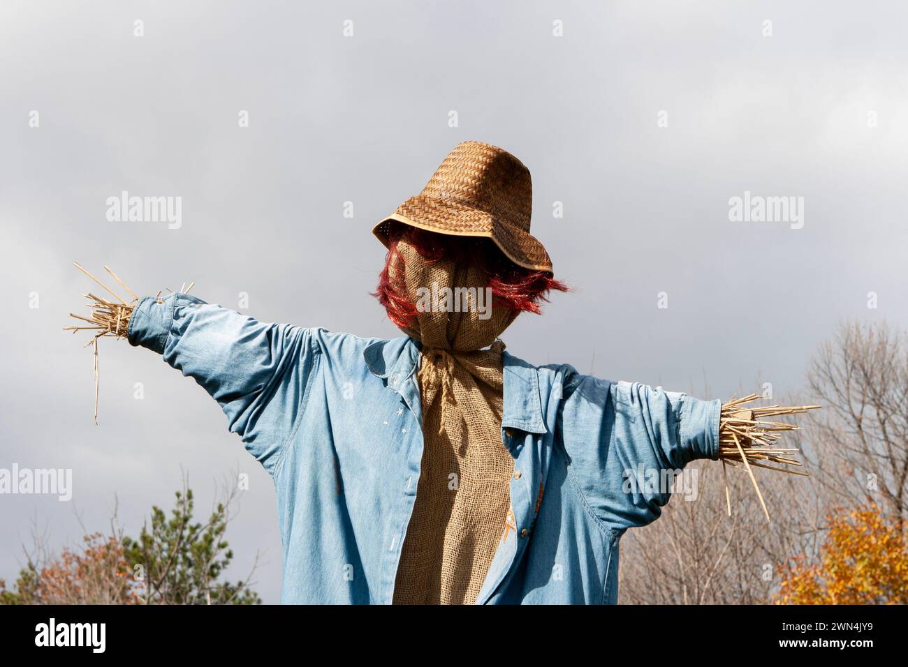 Scarecrow against autumnal grey sky Stock Photo