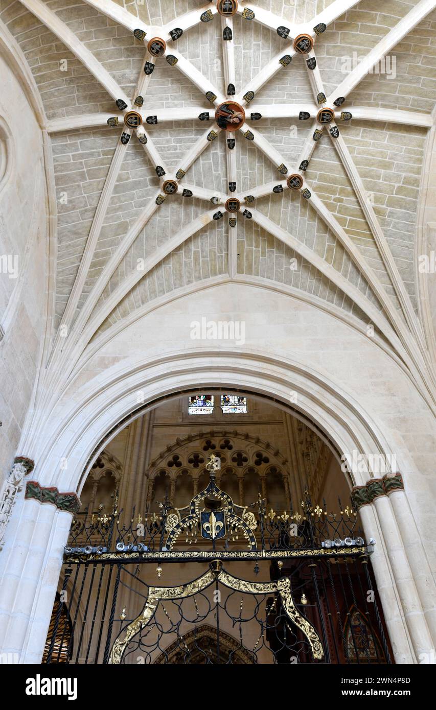 Santa Maria de Burgos cathedral (gothic, renaissance and baroque, 13-18th century). La Visitacion chapel (Juan de Colonia 15th century). Ceiling. Burg Stock Photo