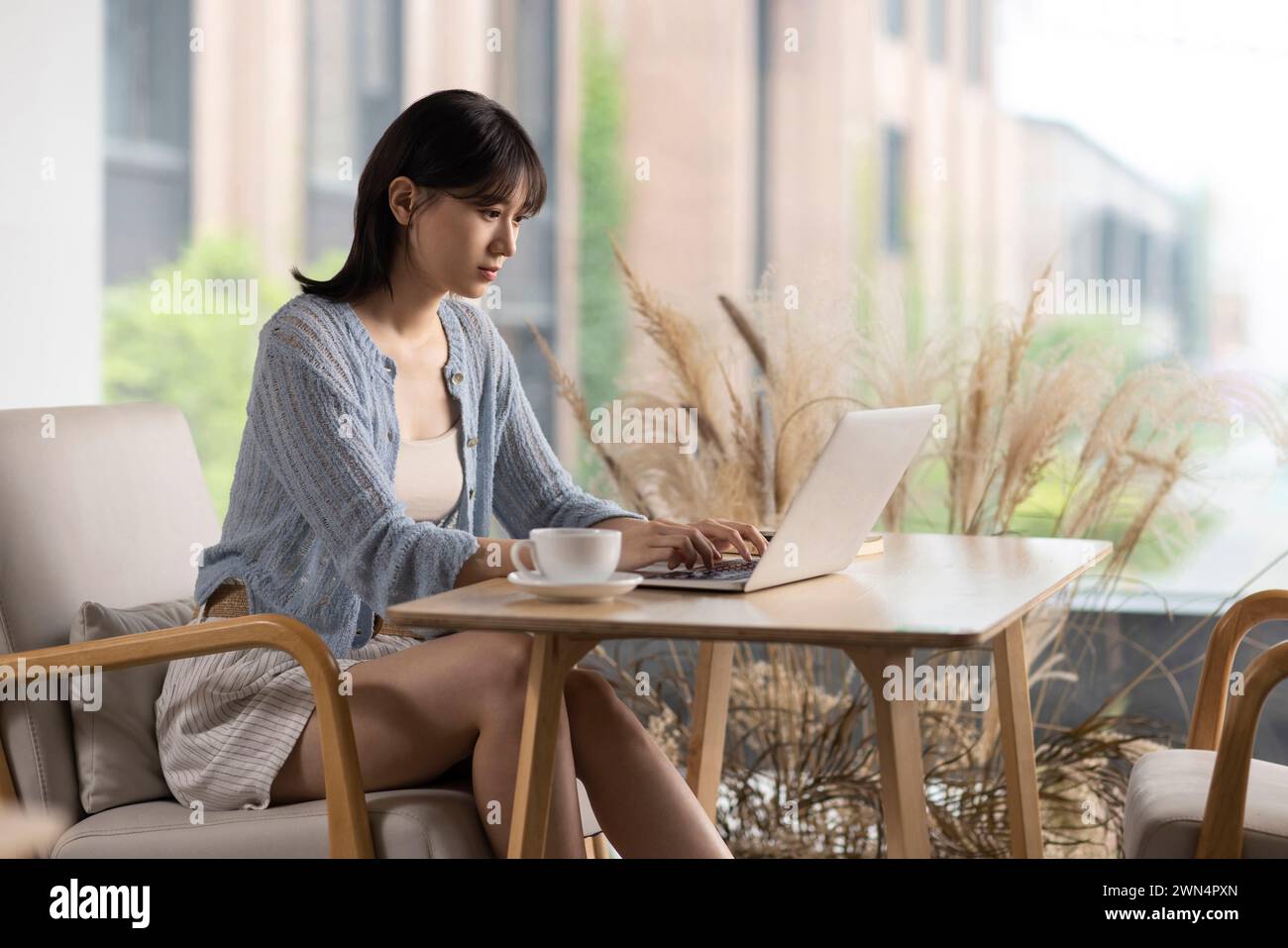 Young woman using laptop in café Stock Photo