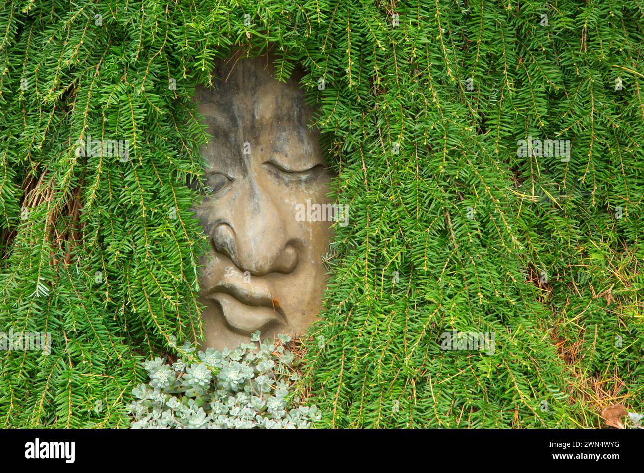 Garden face sculpture, Oregon Garden, Silverton, Oregon Stock Photo
