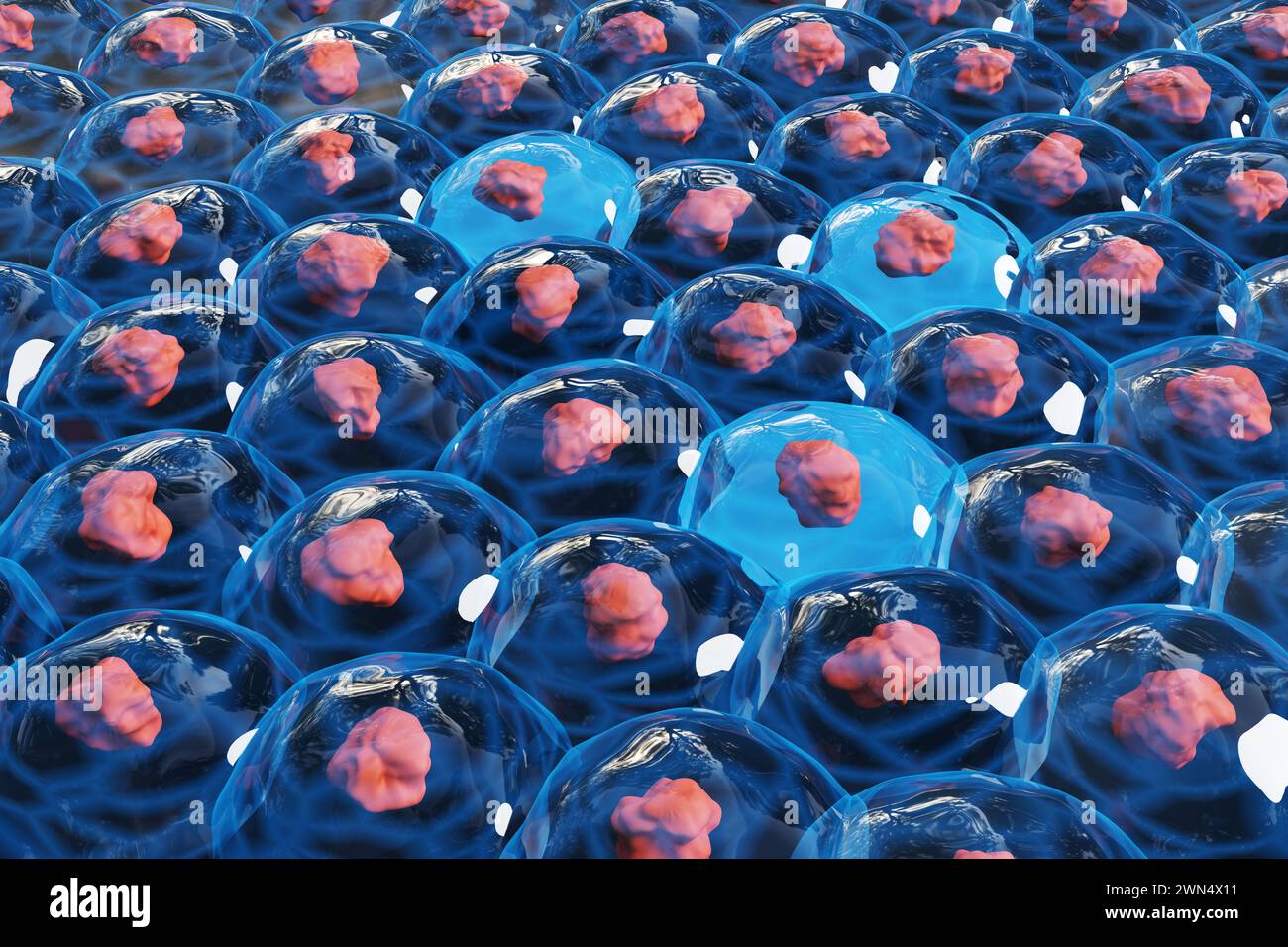 Red tissue covered by transparent jelly like fluid on blue background. Illustration of the concept of synthetic tissue, organs and organisms Stock Photo