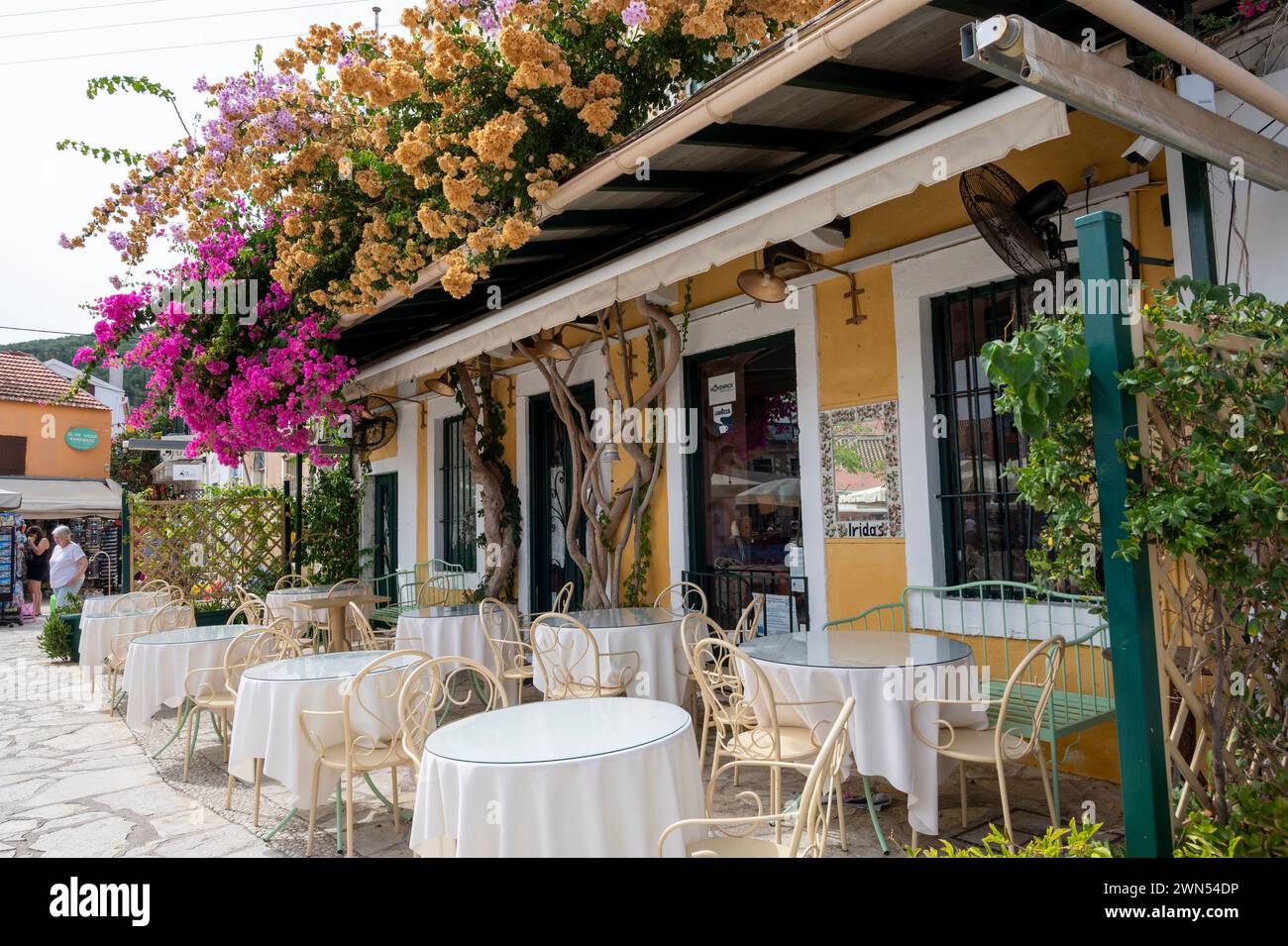 a-pretty-taverna-in-fiskardo-kefalonia-greece-with-colourful-blossom
