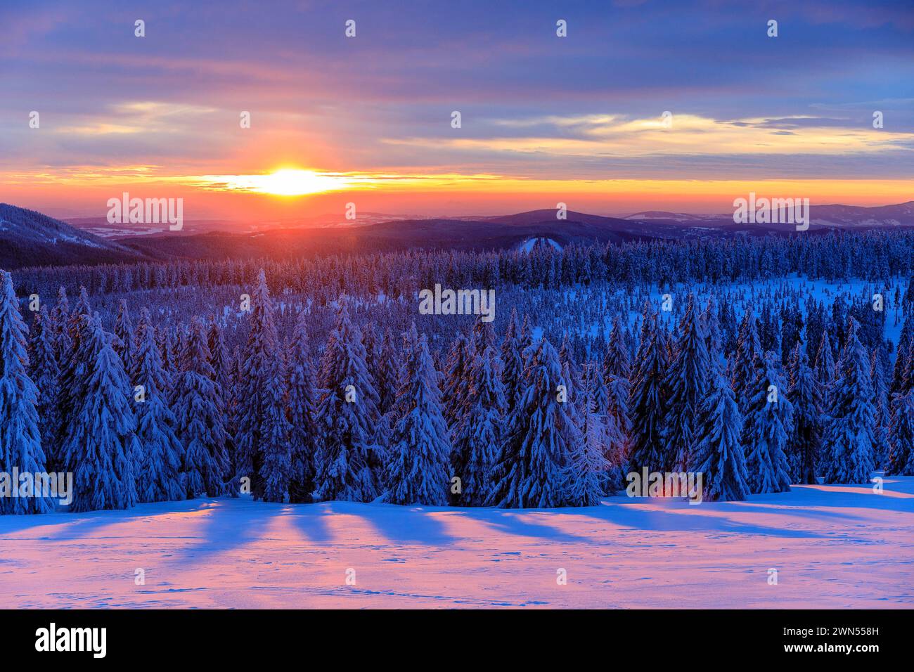 Sonnenuntergang und Winterlandschaft an der Wossecker Baude oberhalb von Harrachsdorf im Riesengebirge, Tschechien *** Sunset and winter landscape at Stock Photo