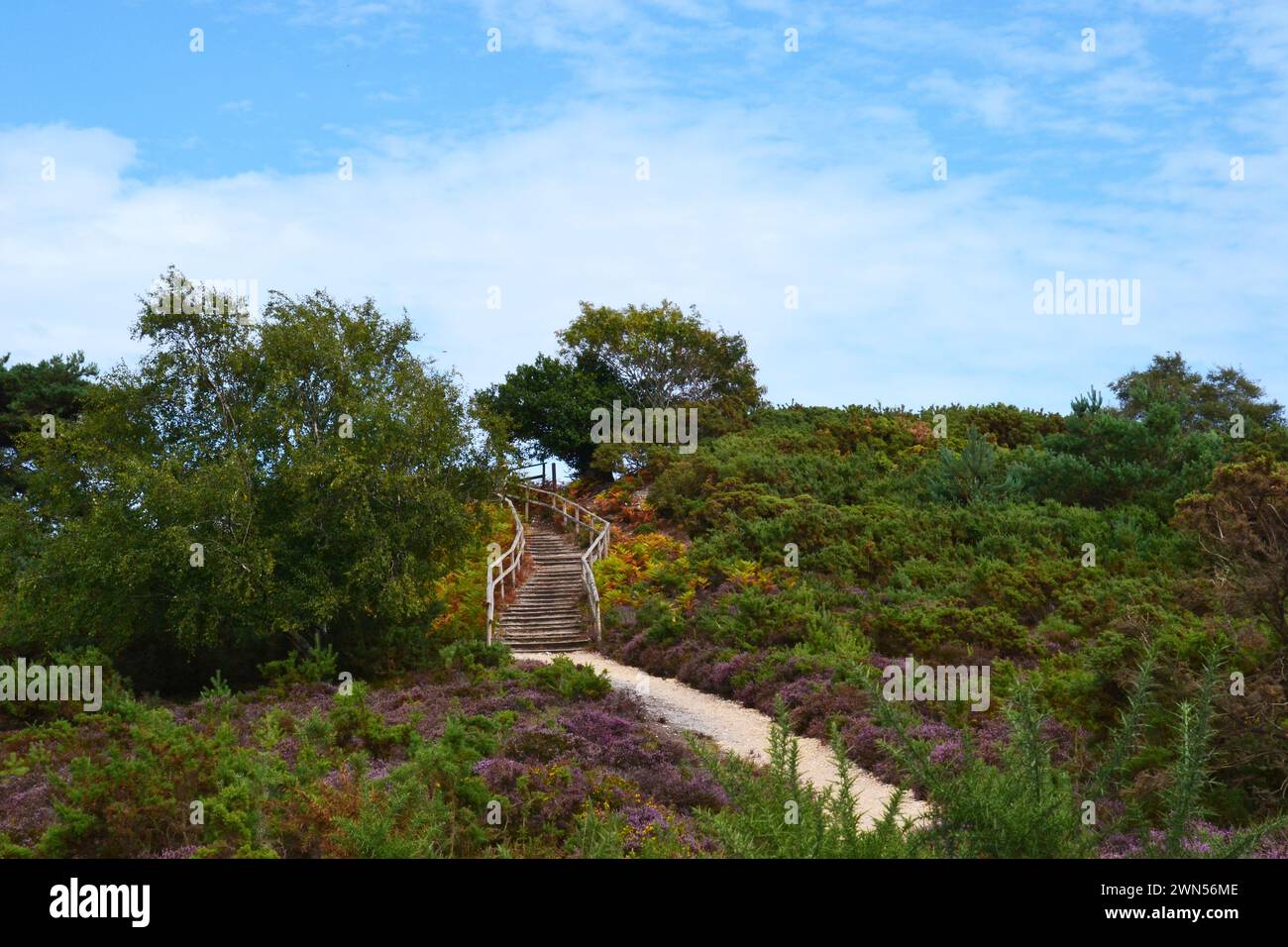 Arne landscape hi-res stock photography and images - Alamy