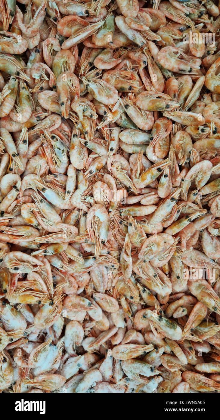 Frozen boiled shrimp in a supermarket or grocery store, close-up. Seafood Stock Photo