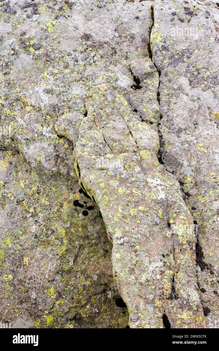 grungy texture of a gray stone with moss and caracks Stock Photo