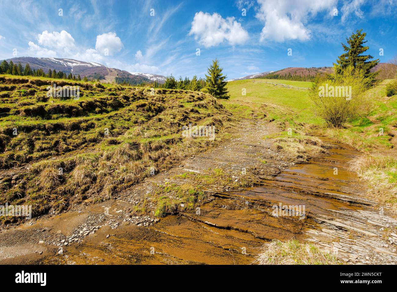 shallow water stream through the valley of carpathian mountains. borzhava range in the distance. rural landscape of ukraine on a sunny day in spring Stock Photo