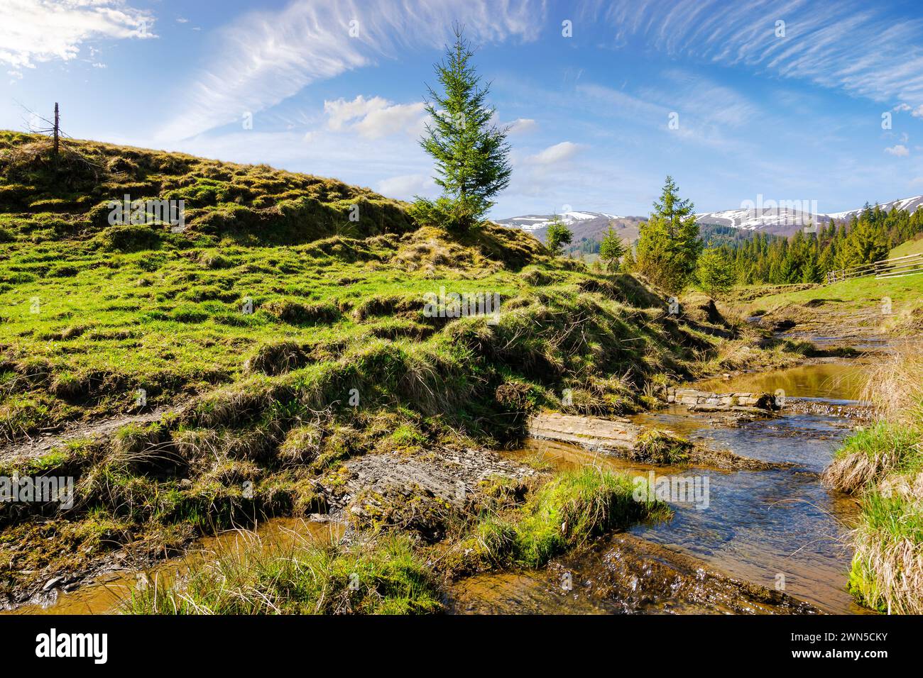creek flows through the valley of carpathian mountains. shallow water stream among hills. borzhava range in the distance. rural landscape of ukraine o Stock Photo