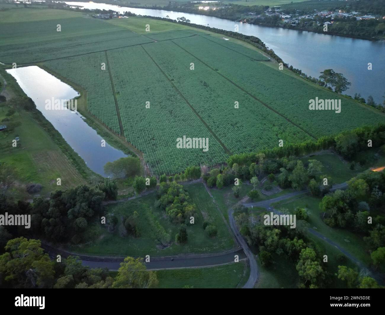 An aerial view of rural landscape with trees, shrubs, and water