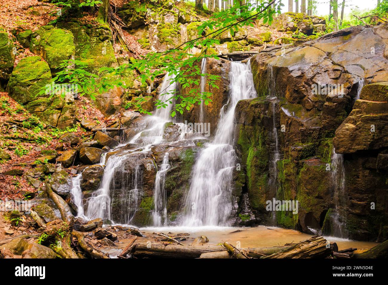 waterfall skakalo in the primeval beech forest of carpathian mountains in spring. lush water stream out of the rock Stock Photo