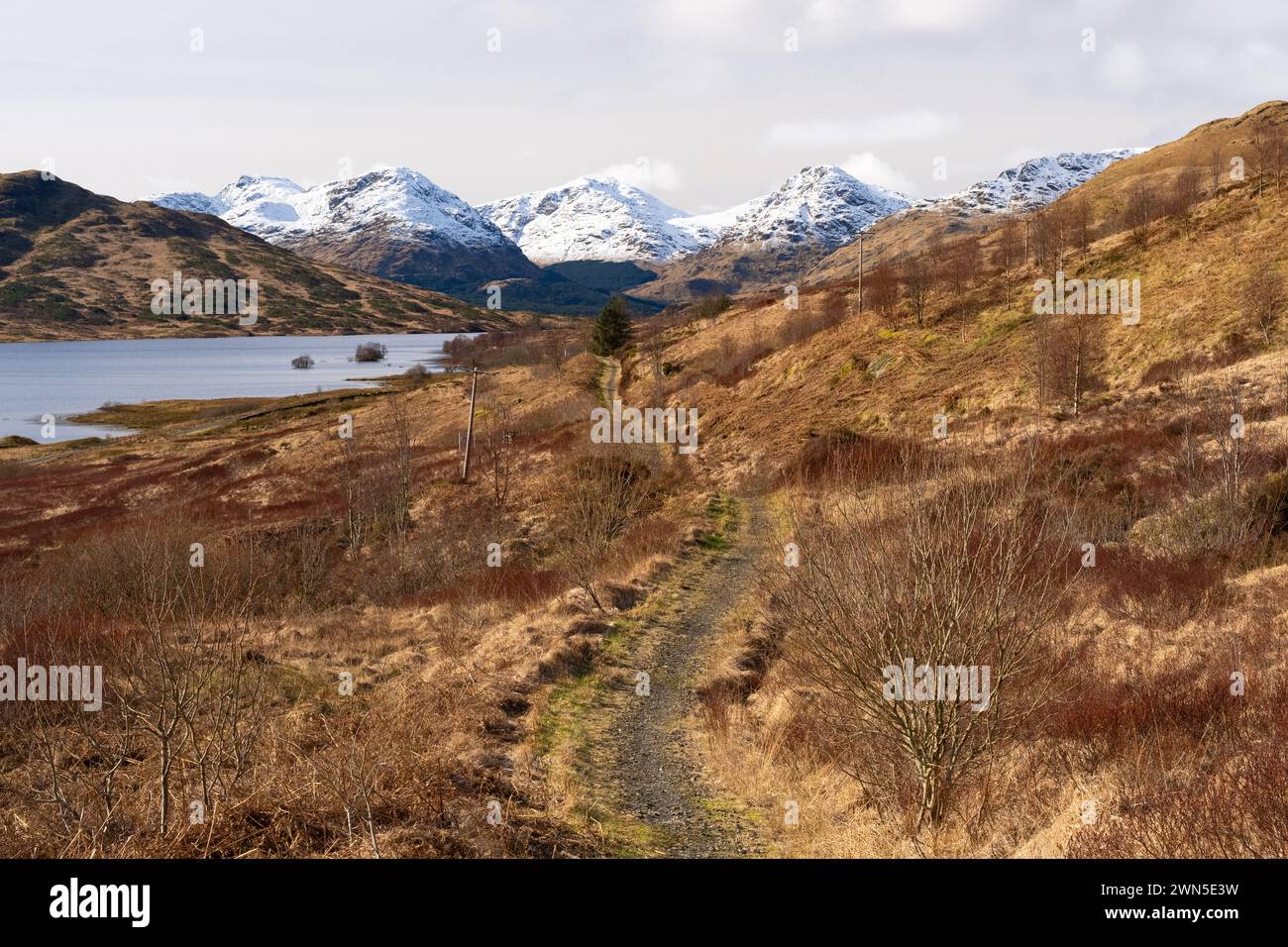 The Great Trossachs Path - Old Military Road footpath section between Stronachlachar and Inversnaid Garrison, Loch Arklet, Stirling, Scotland, UK Stock Photo