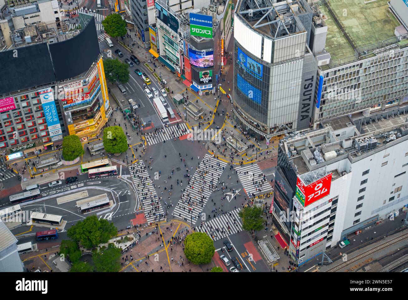 Pedestrians using the Shibuya Scramble Crossing, busy pedestrian intersection in Shibuya, special ward in the capital city Tokyo, Japan Stock Photo