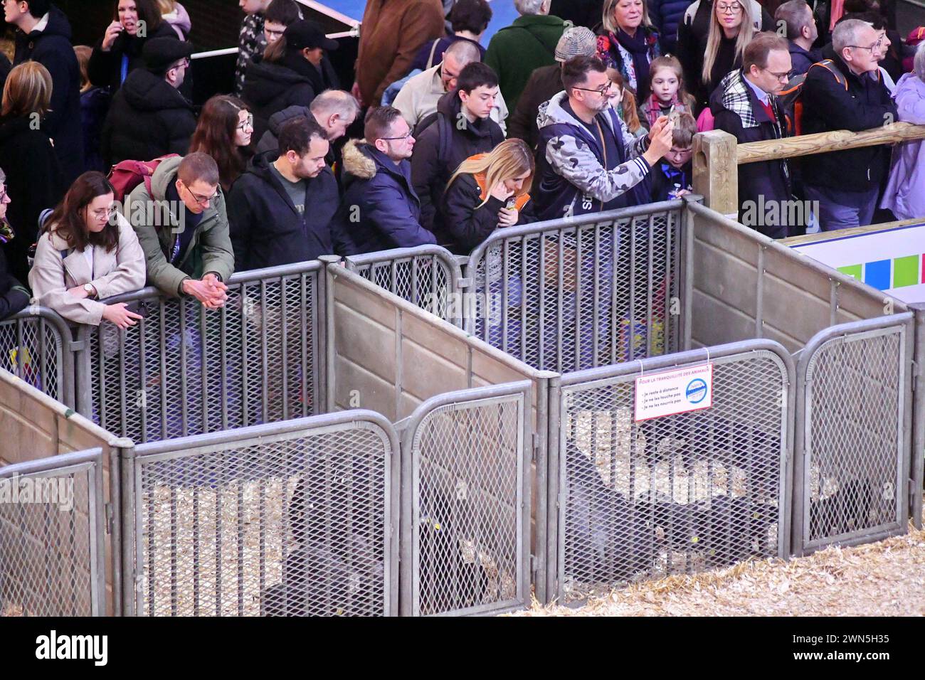 Paris, France. 29th Feb, 2024. Illustration of crowd observing piglets at SIA 2024 during the 60th edition of Paris International Agricultural Show in Paris, France on February 28, 2024. Photo by Patrice Pierrot/ABACAPRESS.COM Credit: Abaca Press/Alamy Live News Stock Photo