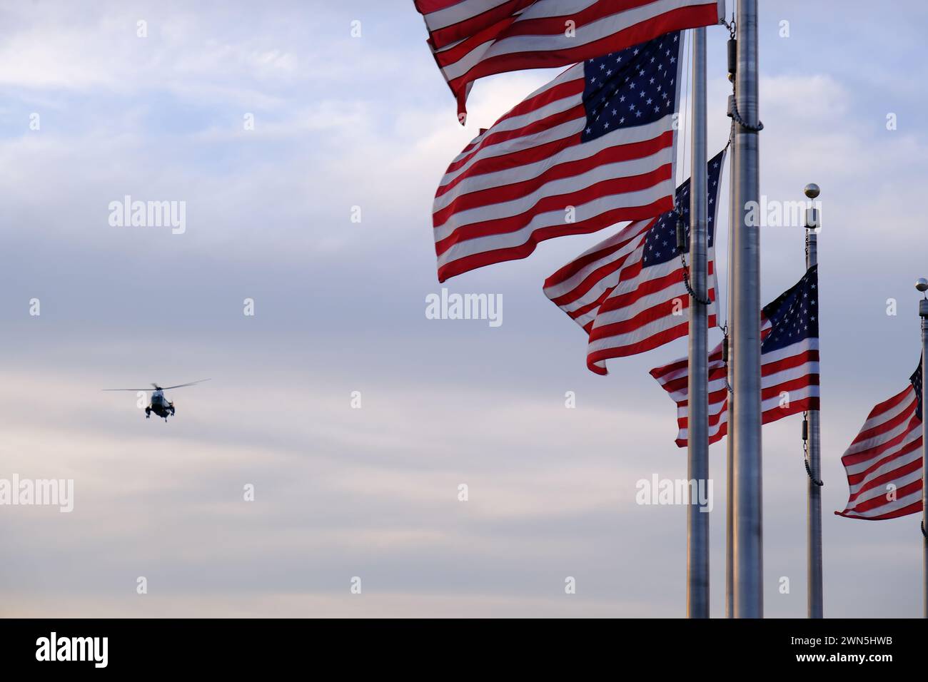 Marine One the helicopter carrying the president of United States flying over National Mall with US flags in foreground.Washington DC.USA Stock Photo