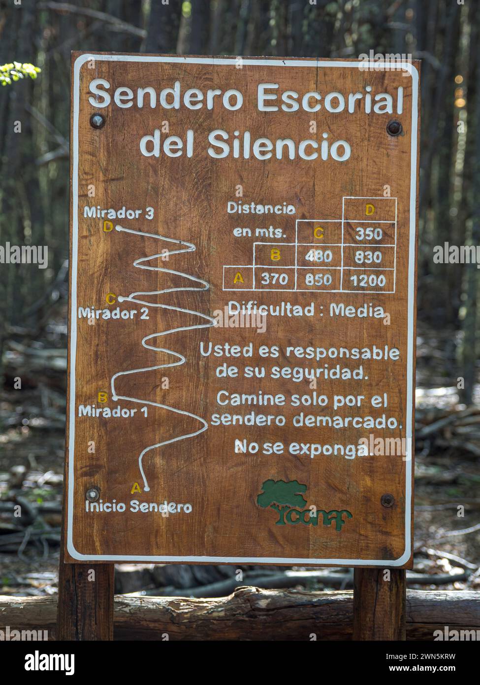 Hiking trail Sendero Escorial del Silencio leading to three viewpoints above lake Jeinimeni, Patagonia, Chile Stock Photo