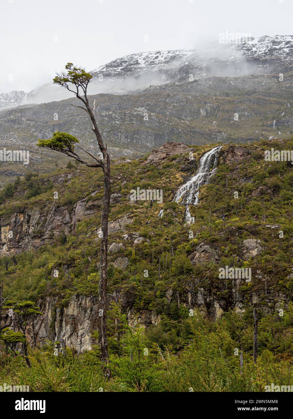 At viewpoint La Cascada, waterfall west of village Villa o' Higgins, Patagonia, Chile Stock Photo