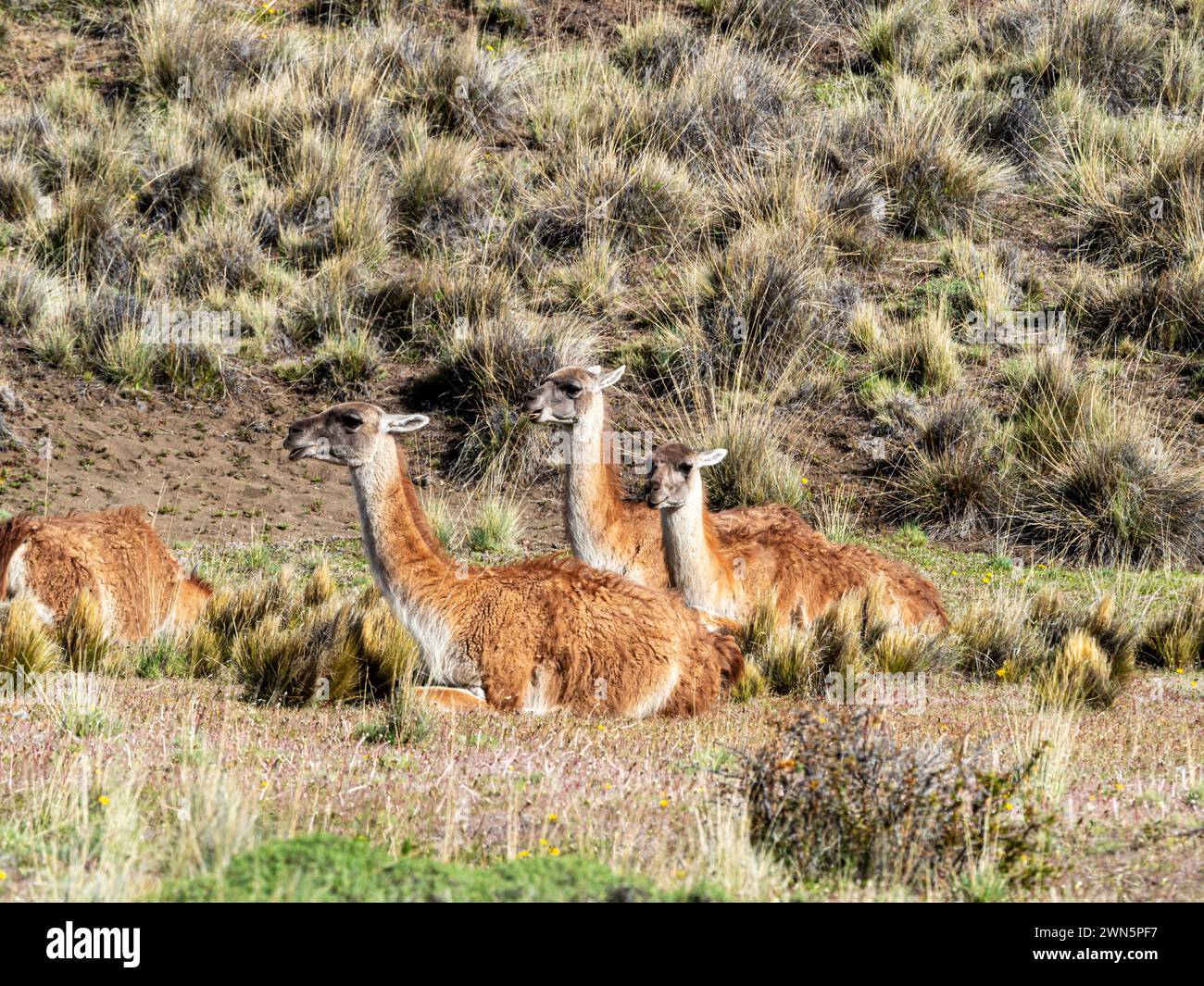 Avalley hi-res stock photography and images - Alamy