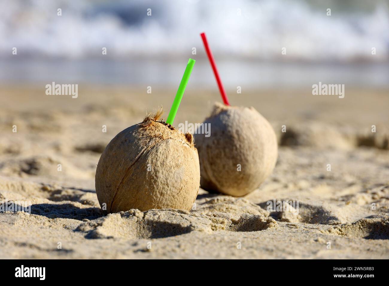 Coconut cocktails with straws on a sand of sea beach Stock Photo