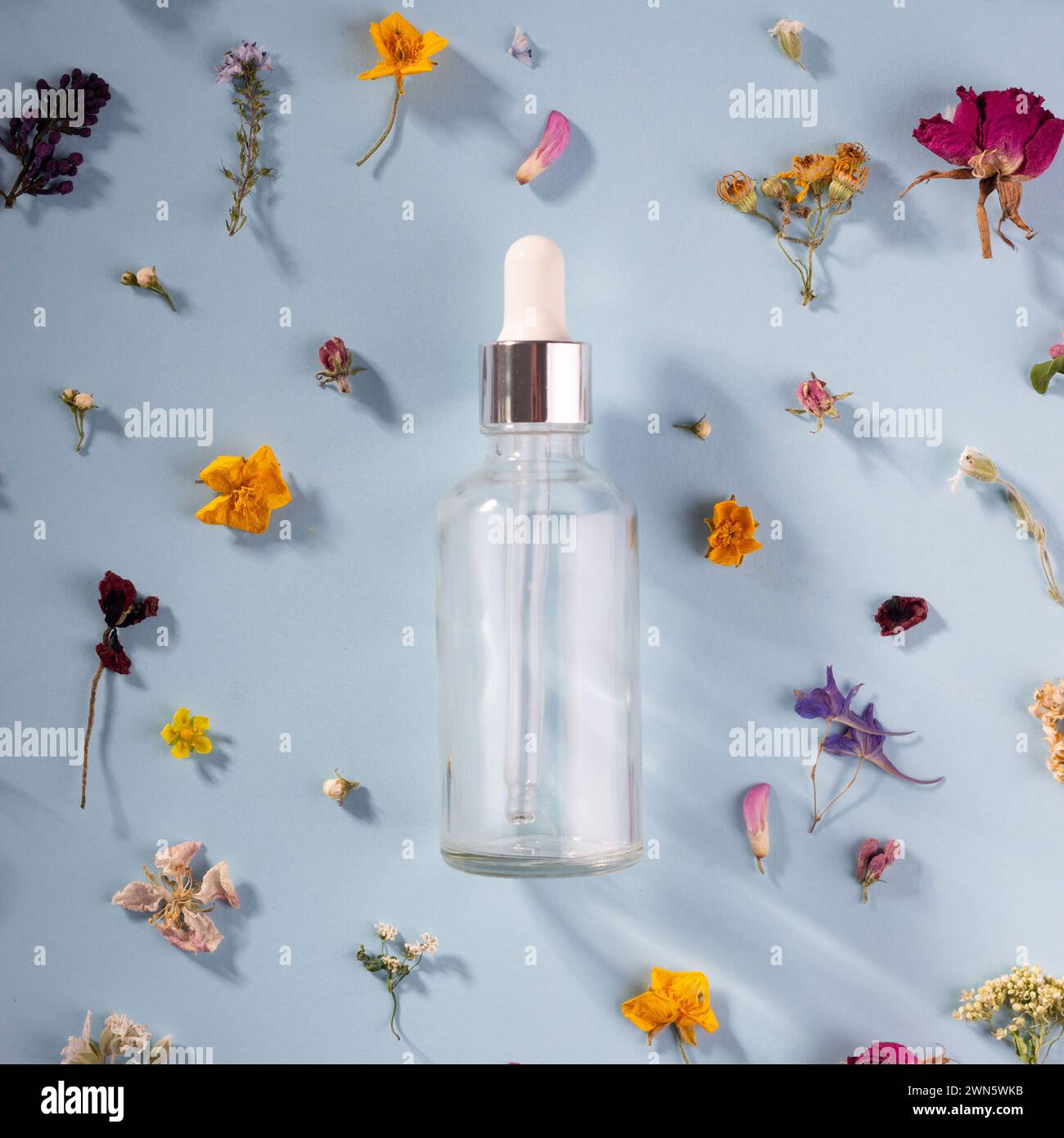 transparent bottle of cosmetic serum on blue spring floral background. Stock Photo