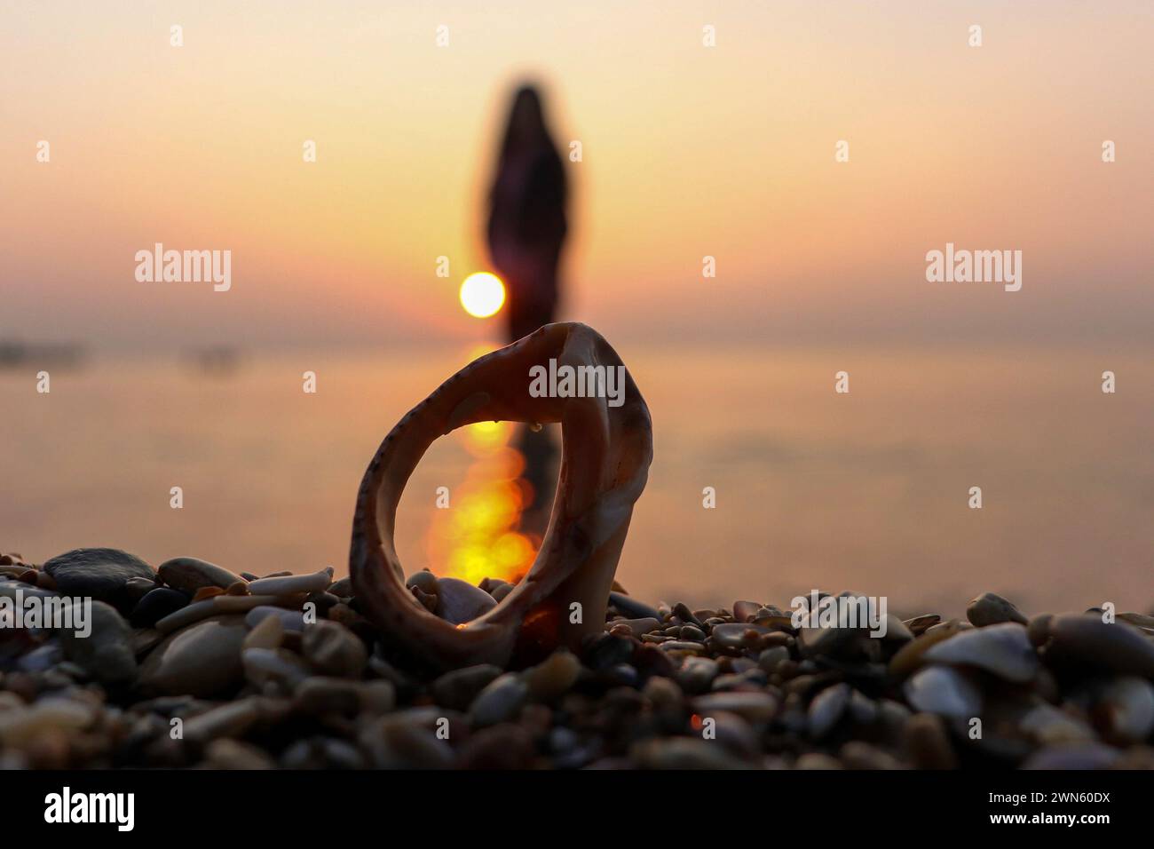 Beach seen from a seashell Stock Photo - Alamy