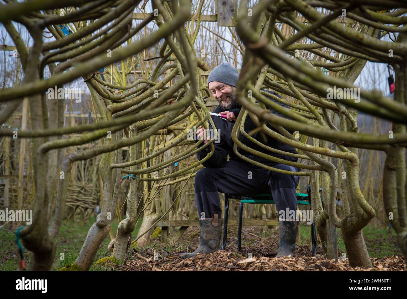 23/02/18  Chris Robinson, Designer.  Full Grown furniture is grown in a woodland near Wirksworth, Derbyshire.  All Rights Reserved: F Stop Press Ltd. Stock Photo