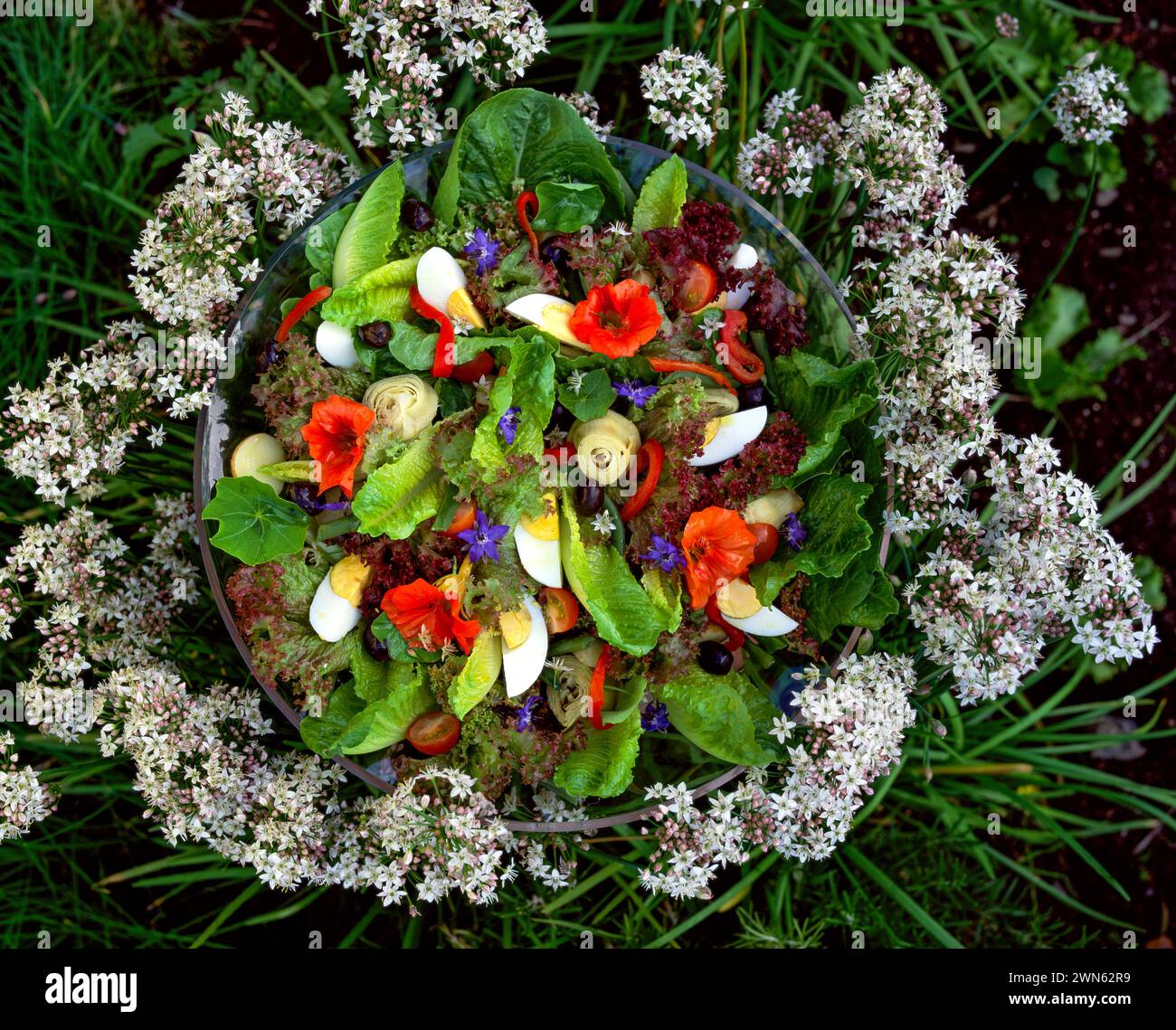 Salad of mixed lettuce, egg, aritchoke, red pepper, tomato, and wild flowers in a garden setting Stock Photo
