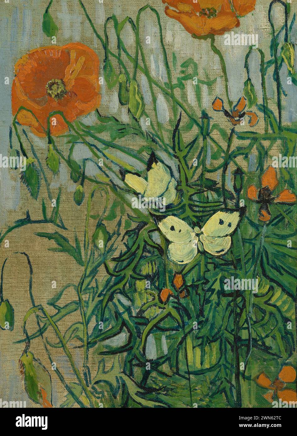 Vincent van Gogh Butterflies and poppies Stock Photo Alamy