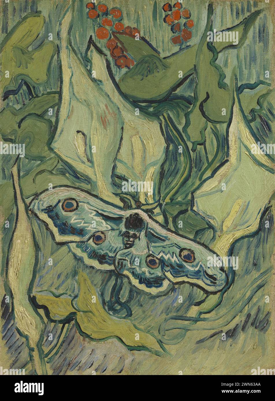 Giant peacock moth 1889 by vincent van gogh hi res stock photography and images Alamy