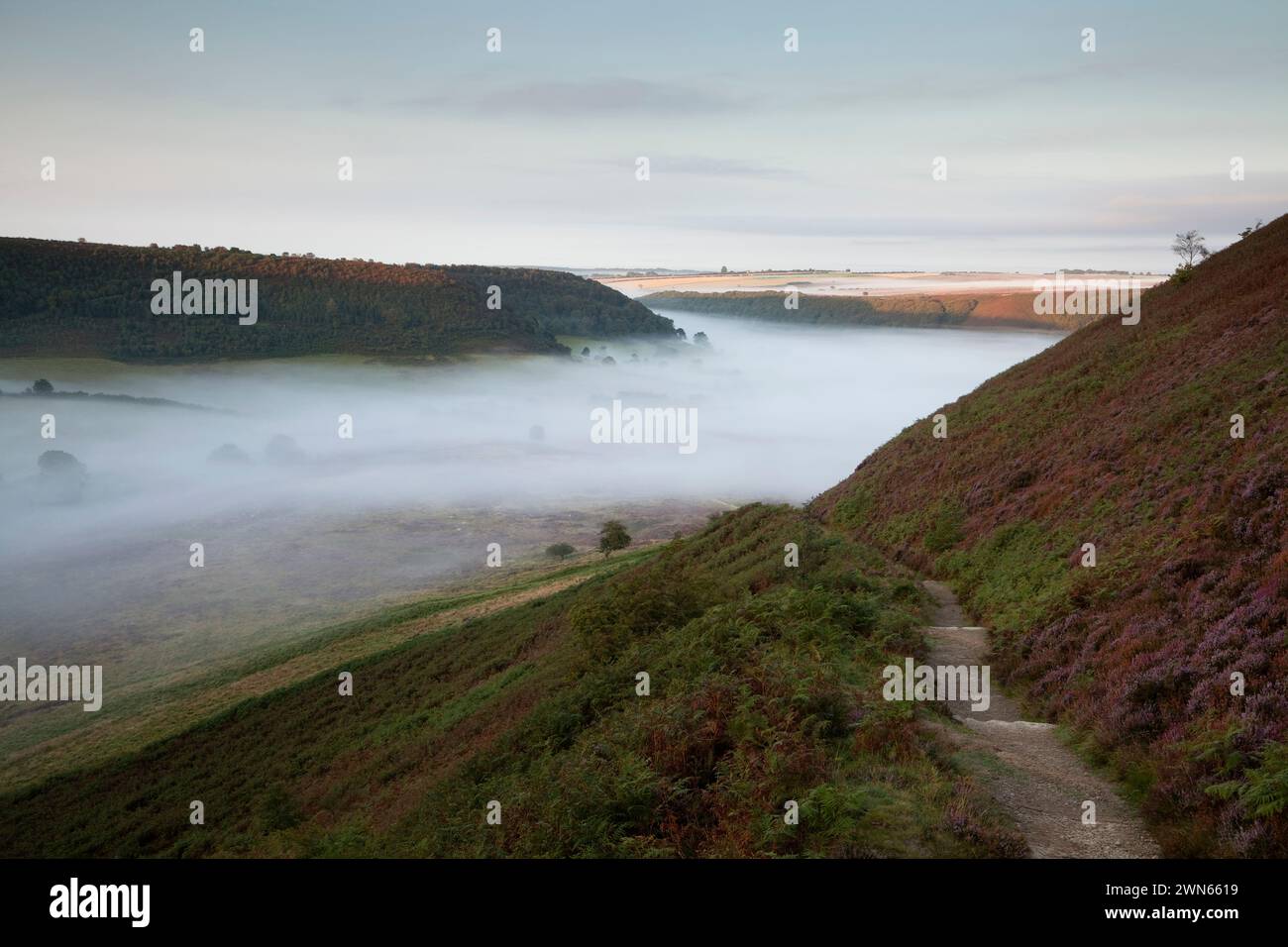 Dawn mist in the Hole of Horcum in the North York Moors, UK Stock Photo