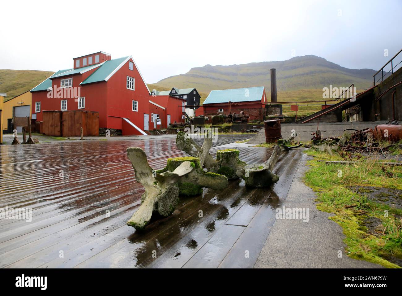 Whaling faroe hi-res stock photography and images - Alamy