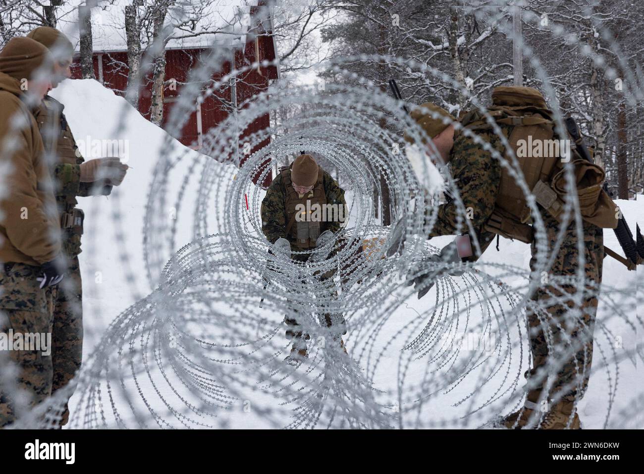 Setermoen, Troms, Norway. 20th Feb, 2024. U.S. Marines with the 2nd Marine Aircraft Wing set up concertina wire in preparation for Exercise Nordic Response 24 at Setermoen, Norway, Feb. 20, 2024. Exercise Nordic Response, formerly known as Cold Response, is a NATO training event conducted every two years to promote military competency in arctic environments and to foster interoperability between the U.S. Marine Corps and allied nations. (Credit Image: © Orlanys Diaz Figueroa/U.S. Marines/ZUMA Press Wire) EDITORIAL USAGE ONLY! Not for Commercial USAGE! Stock Photo