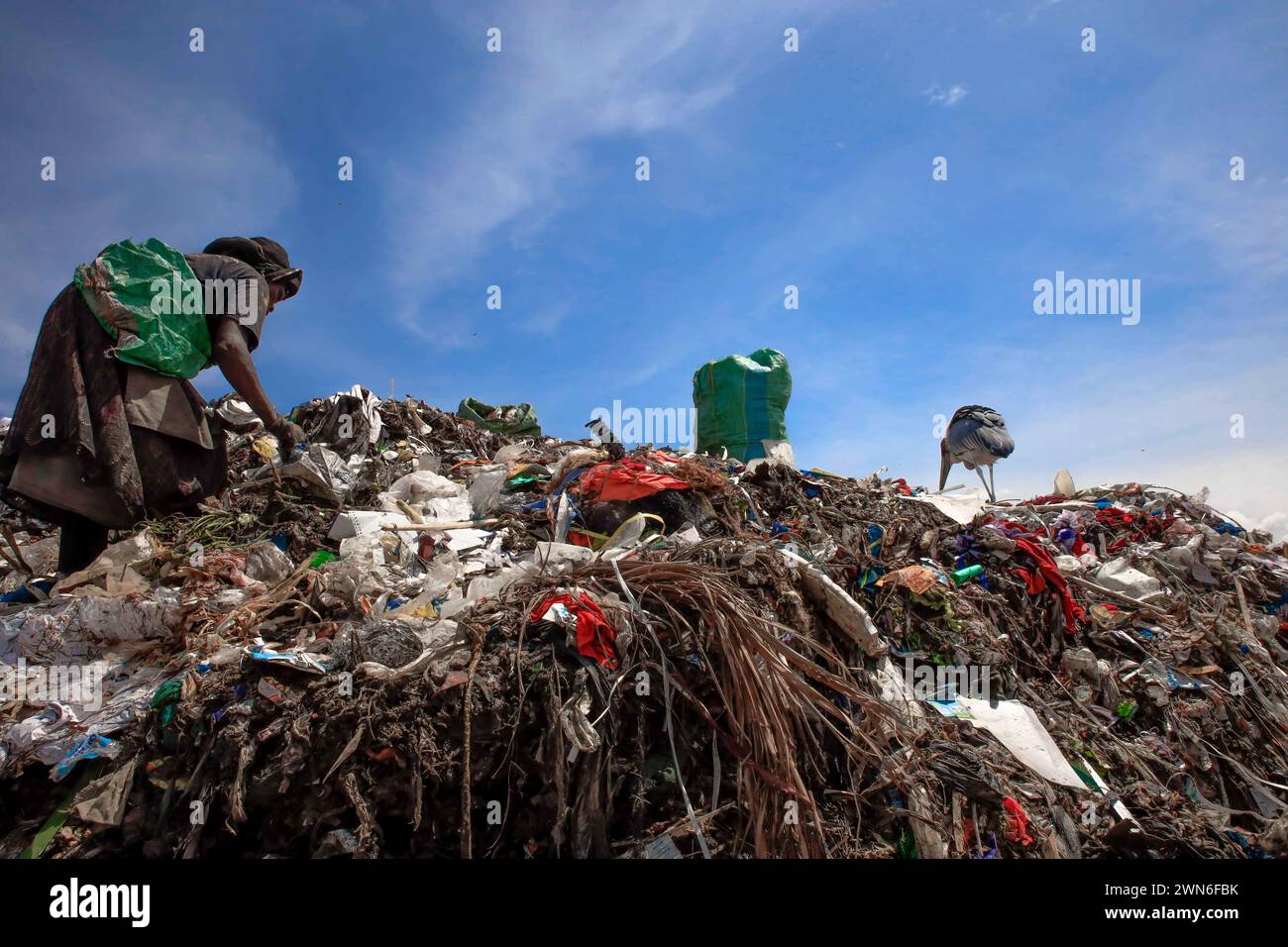 Nairobi, Kenya. 28th Feb, 2024. A waste collector and a marabou stock ...