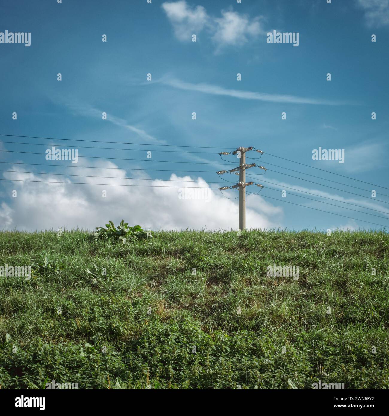 Electricity distribution pole behind a green river bank and against a blue sky with white clouds in the Po Valley. Countryside of Bologna, Emilia-Roma Stock Photo