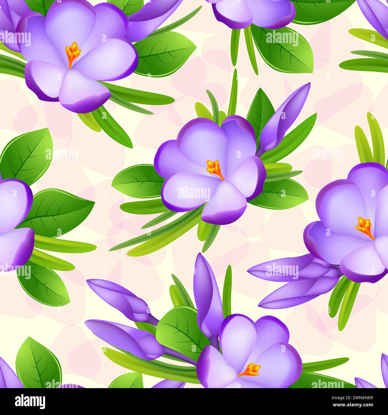 Purple crocuses with grass and green leaves on a light background. Natural spring decor. Spring floral background. Bright flowers. Wedding. Holiday. S Stock Photo