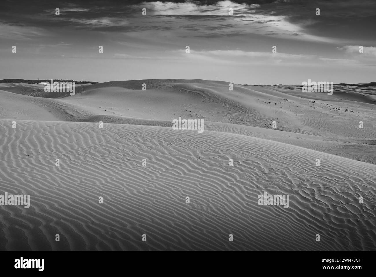 Close up background on the desert sand in Inner Mongolia, China. Golden sand wallpaper with copy space for text, black and white Stock Photo