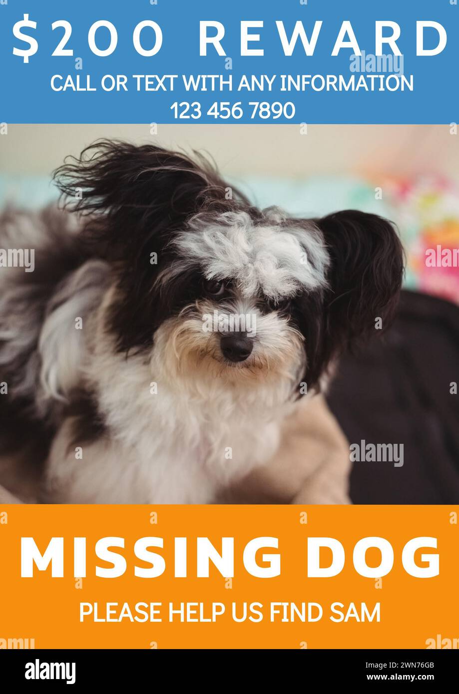 Composition of poster with missing dog text over dog on orange background Stock Photo