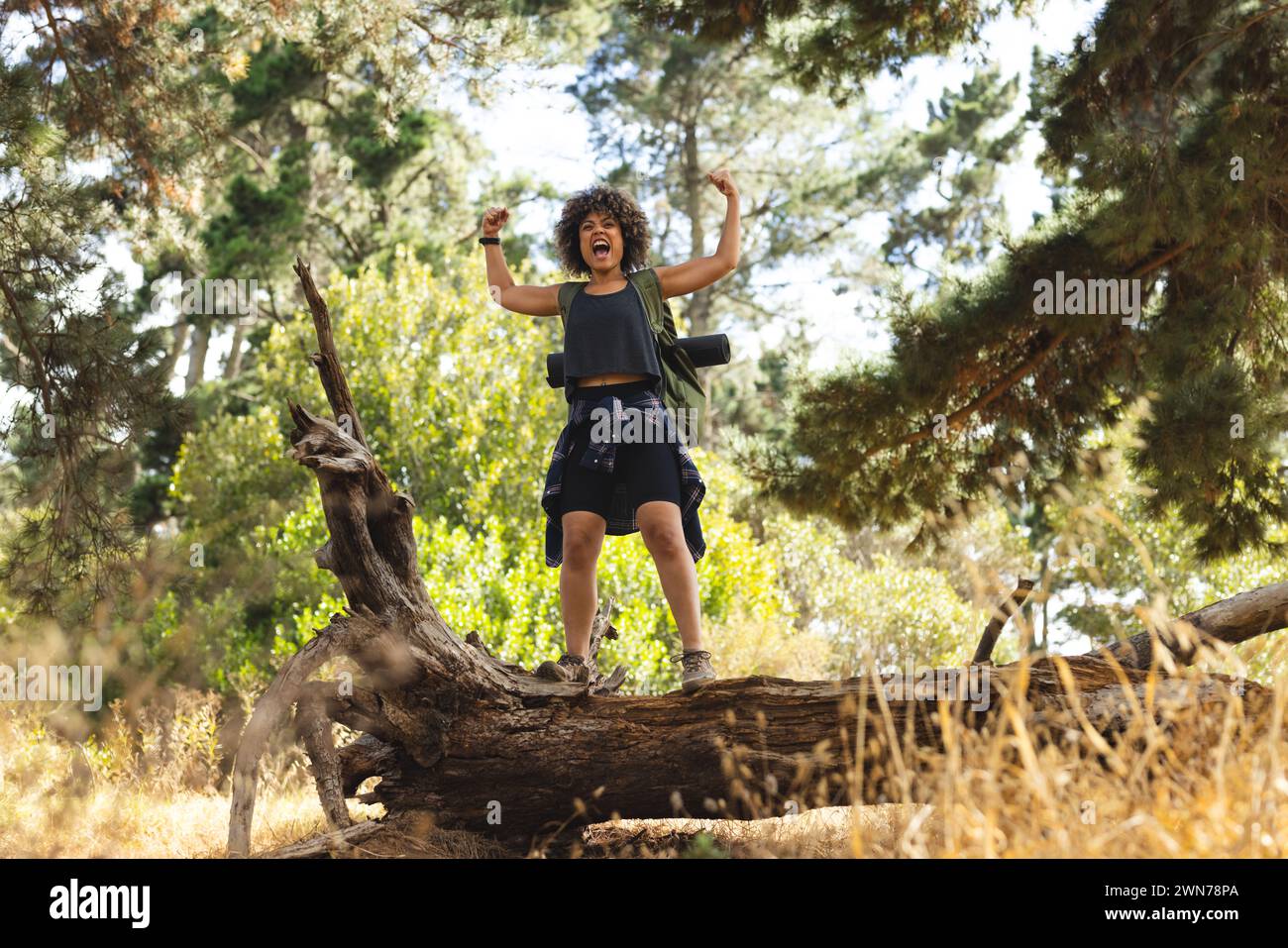 Young biracial woman stands triumphantly on a fallen tree trunk outdoors on a hike Stock Photo