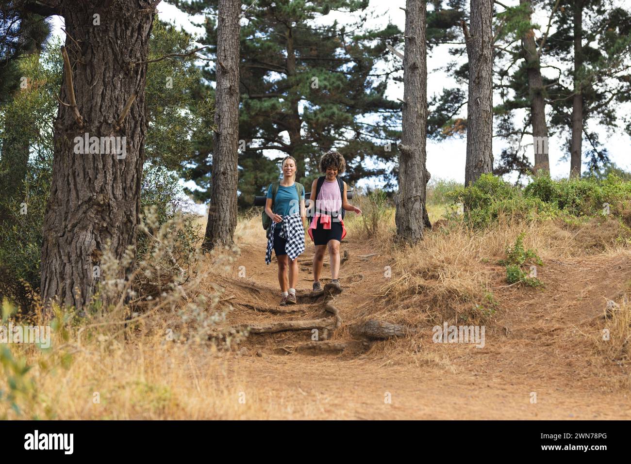 Two women are hiking on a forest trail, surrounded by tall trees, with ...