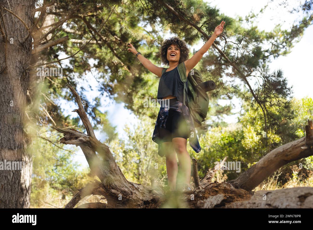 Young biracial woman with curly hair celebrates atop a fallen tree in the woods on a hike Stock Photo